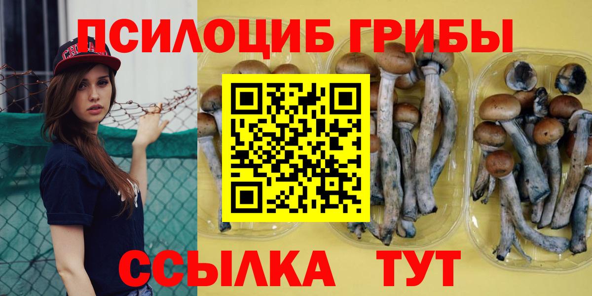 Кимовск  Псилоцибиновые грибы MAGIC MUSHROOMS  Галлюциногенные грибы Magic Shrooms  Вход с VPN 